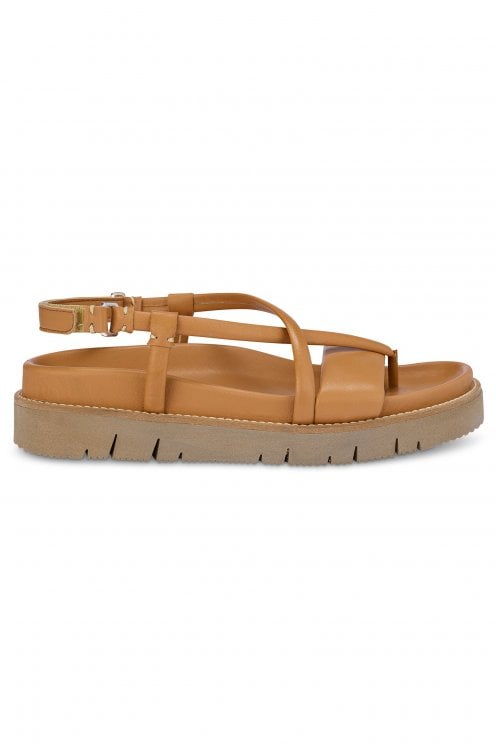 Sandal Nut