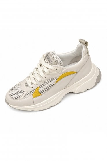 Trainers Ice
